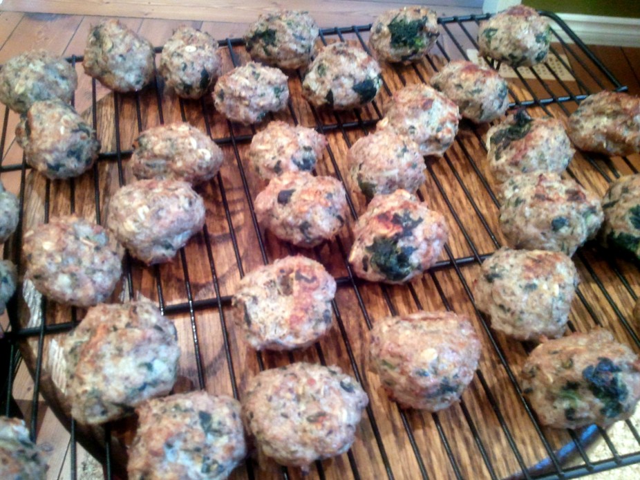 Turkey Meatballs