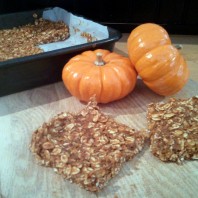 No Bake Pumpkin Protein Bars