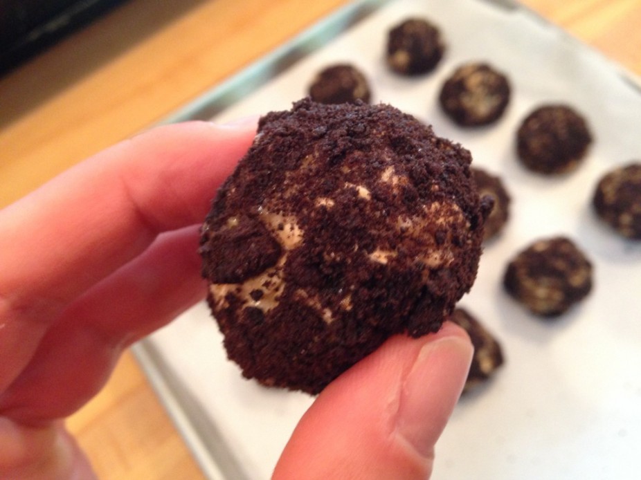 natural vanilla protein powder