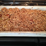 Plum Crumble