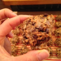 Superbutter Protein Cookies