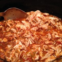 Simple Crock Pot Salsa Chicken