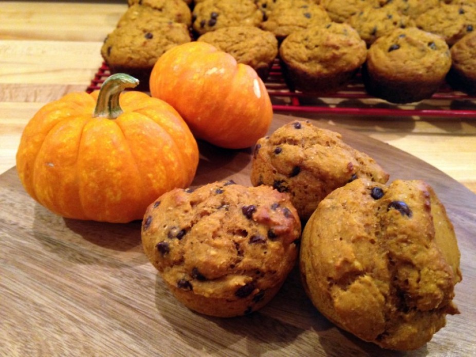 Pumpkin Chocolate Chip Muffins