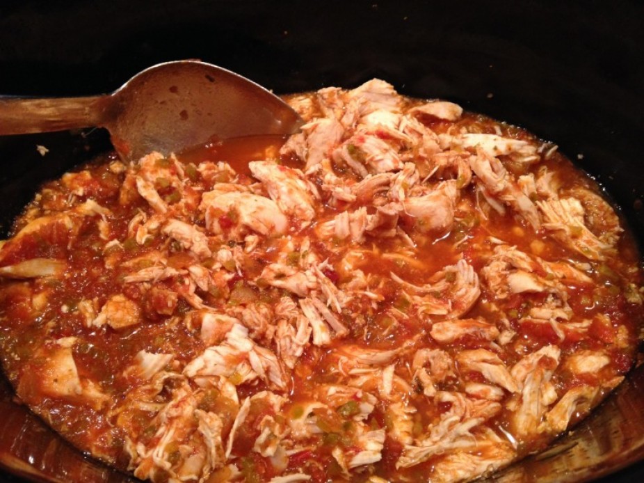 Simple Crock Pot Salsa Chicken